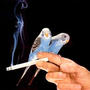 Take Trips (Explicit)