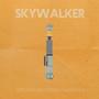 Skywalker (feat. Maryn G) [Explicit]