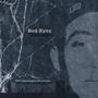 The Copenhagen Chronicles (Explicit)