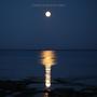 Moonlight
