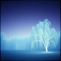 Where Ancient Winds