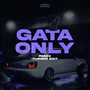 Gata Only (Turreo Edit) (Remix)