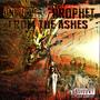 From The Ashes (Explicit)