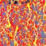 catch fire (Explicit)