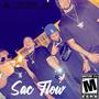 Sac Flow (Explicit)