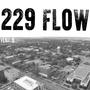 229 FLOW (feat. Q) [Explicit]