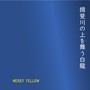 揖斐川の上を舞う白龍