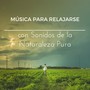 Música para Relajarse con Sonidos de la Naturaleza Pura