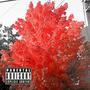 LOVE DONT COST A THING (feat. COS) [Explicit]