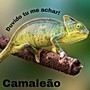 Camaleão