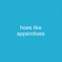 #HOESLIKEAPPENDIXES (Explicit)