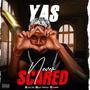 NEVER SCARED (Explicit)