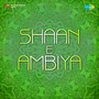 Shaan E Ambiya