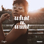 What U Want (Snugger Remix)