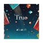 True (feat. Julius Chen & Don Hanson) [Single]