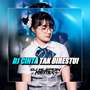 DJ Cinta Tak Direstui Breakbeat Jedag Jedug (Inst)