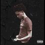 Said It Was Love (feat. TLA Savage Jordan) [Explicit]