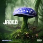 Jaded (Explicit)