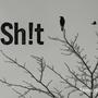 Sh!t (Explicit)