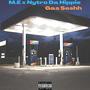 Gas Seshh (feat. Nytro Da Hippie) [Explicit]