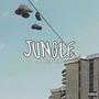 Jungle (feat. RS Layonn) [Explicit]