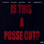 IS THIS A POSSE CUT? (feat. Sylvan Lacue, Chris Patrick, Solo Jaxon, GrandMaster Vic & Free P) [Explicit]