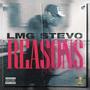 Reasons (Explicit)