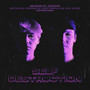 Self Destruction (Explicit)