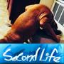 Second Life