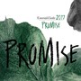 Promise