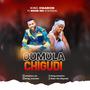 Dumula chigudi (feat. Kïñg Omarion) [Radio Edit]