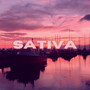 Sativa