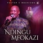 Ndingumfokazi