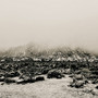 Mnemonic: Ambient Mosaic
