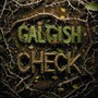Check