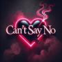 Can't Say No (feat. Reech.FrFr)