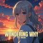 wondering why (feat. Ramjoe)