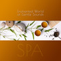 Enchanted World of Gentle Sounds – SPA: 30 Tracks for Your Wellbeing, Inner Stillness, Calm Delight