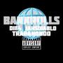 Bankrolls (feat. Jahs Diablo & Trabahondo) [Explicit]