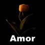 Amor