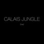 Calais Jungle (Live at U.L.S London)