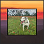 Carter's Song