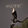 Hope (feat. The Triplets)