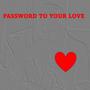 Password to your love (feat. Davide Dal Pozzolo)