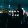 Bina Tere