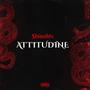 Attitudine (deluxe) [Explicit]