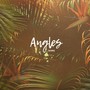 Angles (Explicit)