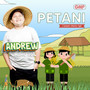 Petani