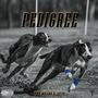 Pedigree (Explicit)