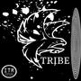 Hawk  Tribe (ITR)